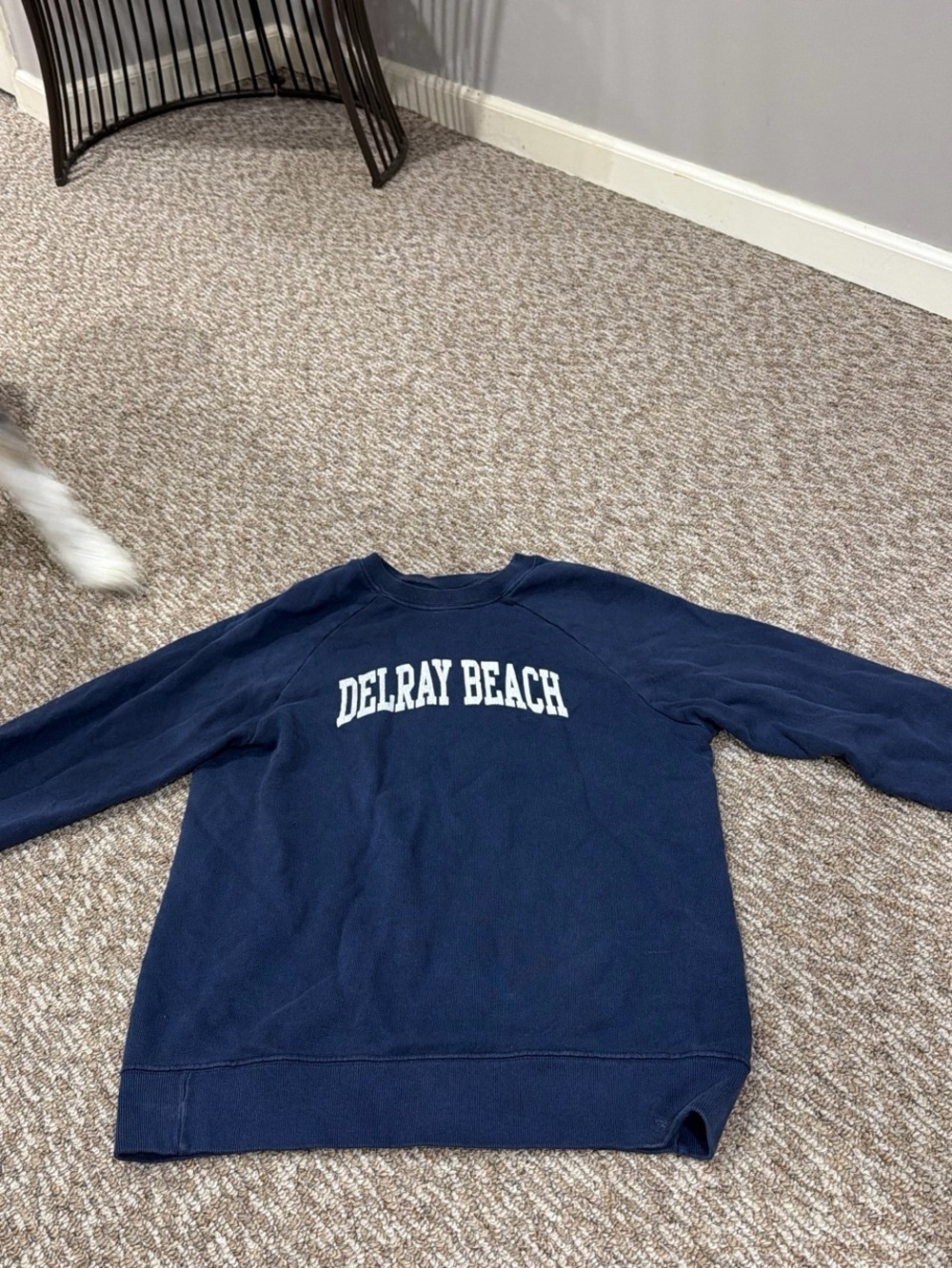 Brandy Melville Navy Crewneck Sweatshirt with White DELRAY BEACH Print